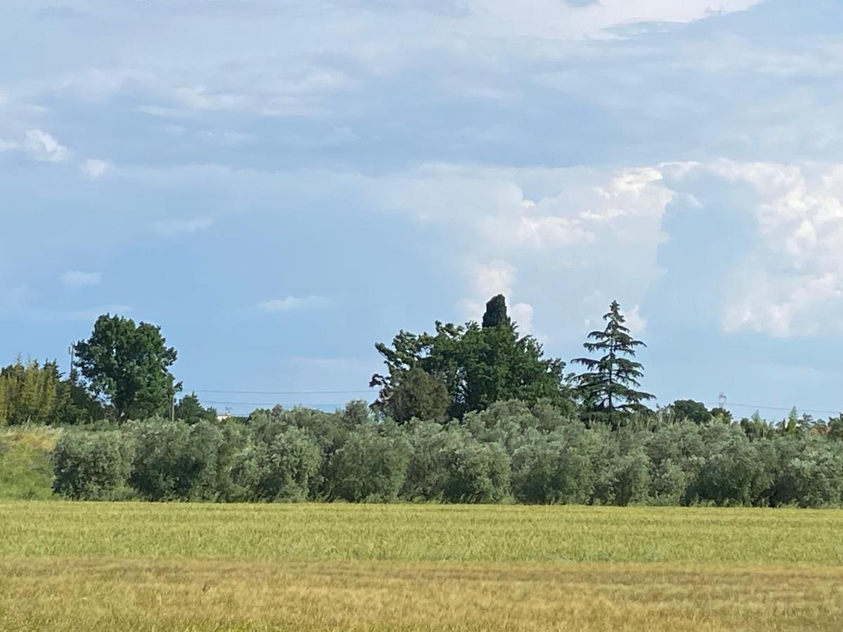Accanto A Firenze ปาล์มเดดเซิร์ท ภายนอก รูปภาพ