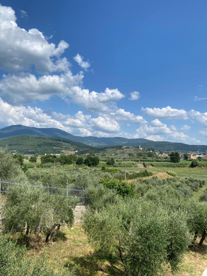 Accanto A Firenze ปาล์มเดดเซิร์ท ภายนอก รูปภาพ